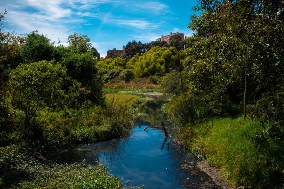 «cordoba»,Wetland,In,Bogotã¡,,Colombia