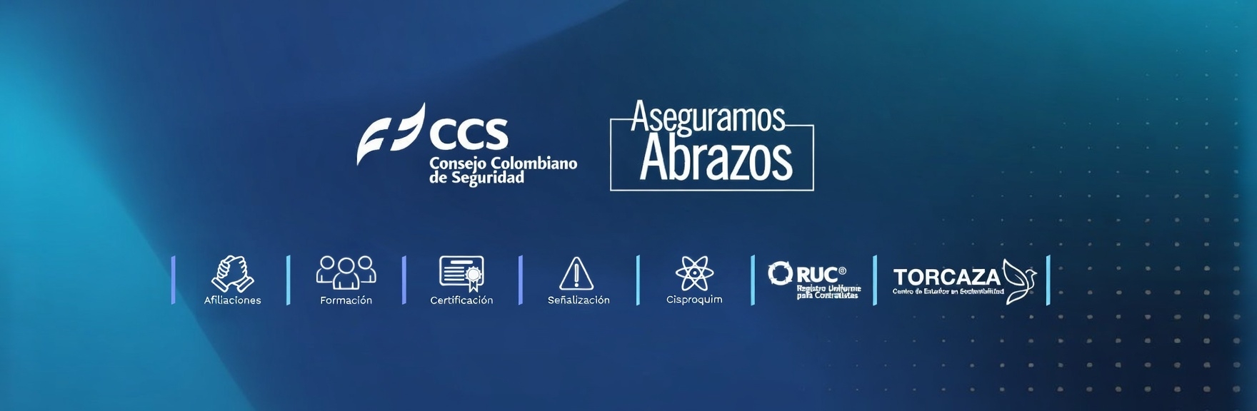 CCS Consejo Colombiano de Seguridad 