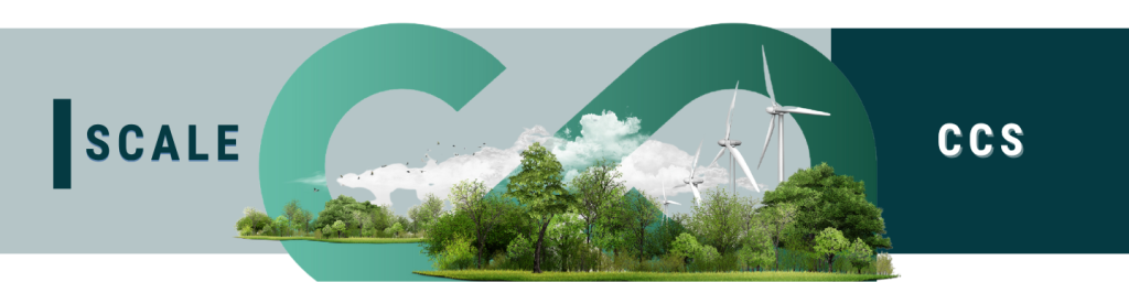 SCALE - SOSTENIBILIDAD CCS CONSEJO COLOMBIANO DE SEGURIDAD