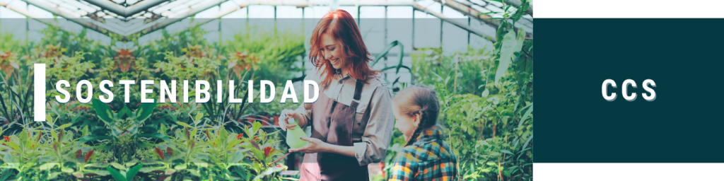 SOSTENIBILIDAD CCS