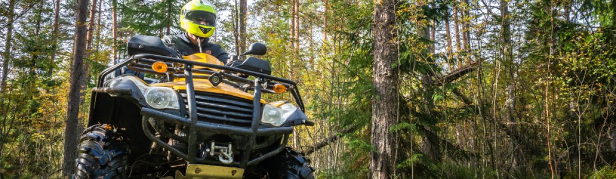 Travel,Without,Roads.,Atv.,A,Man,Rides,Through,The,Forest